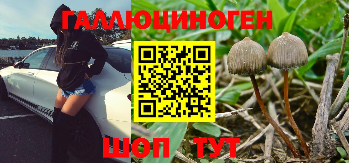 Ангарск  Галлюциногенные грибы Psilocybine cubensis  Галлюциногенные грибы MAGIC MUSHROOMS  Вход с VPN 